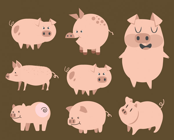 创意猪设计