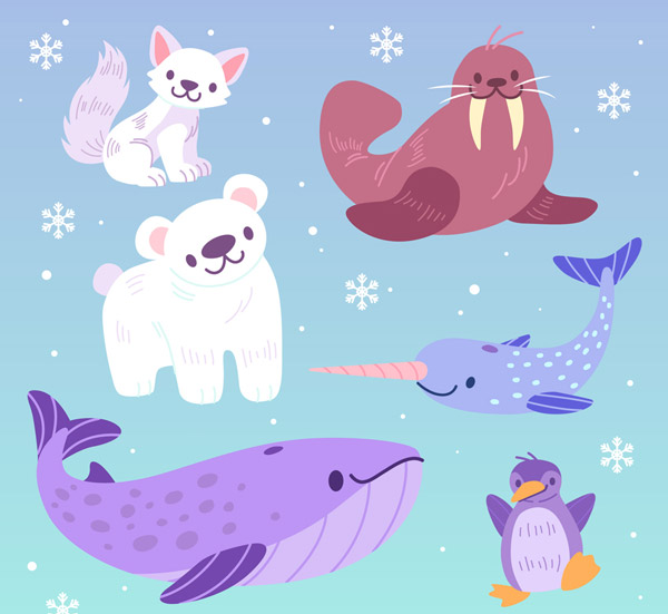 可爱南北极动物