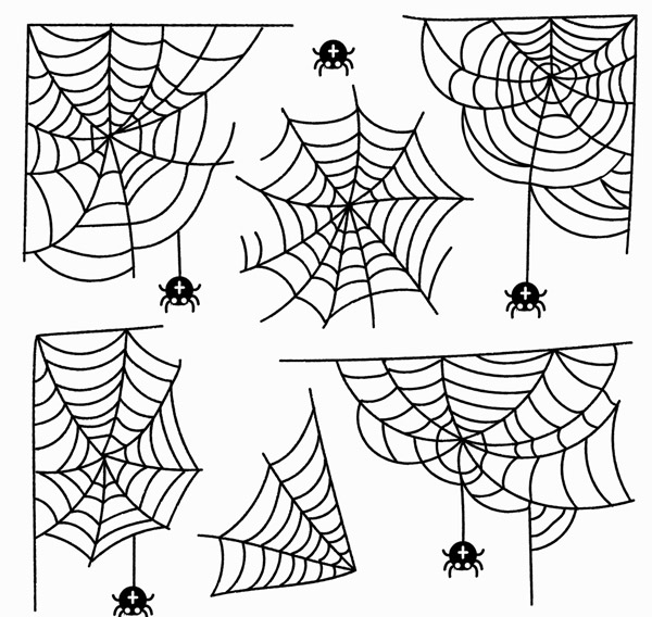蜘蛛网和蜘蛛