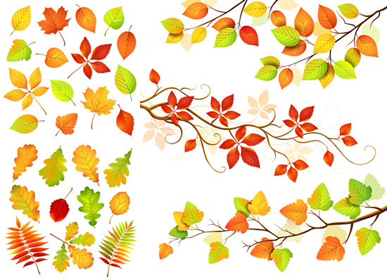 秋天叶子树枝矢量素材,秋天叶子,树枝,植物,红叶,黄叶,秋季树叶,免费