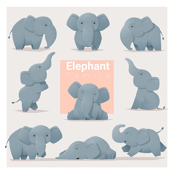 大象家庭