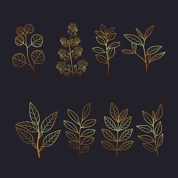 手绘金色植物树叶
