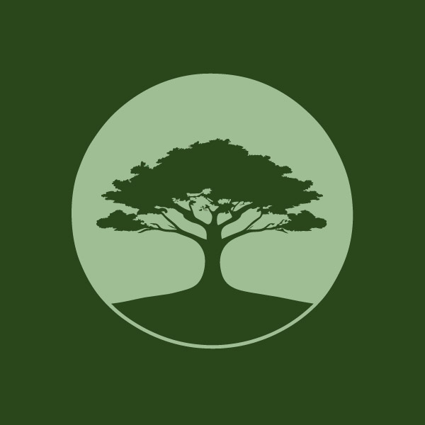 绿色植物树木图标