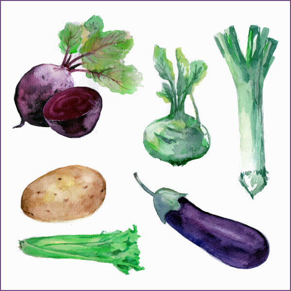 水彩手绘素描蔬菜
