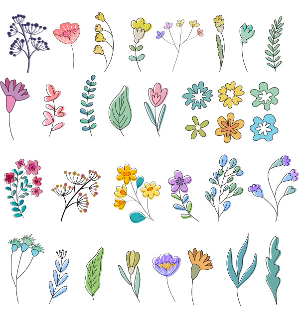 各种颜色种类的花朵
