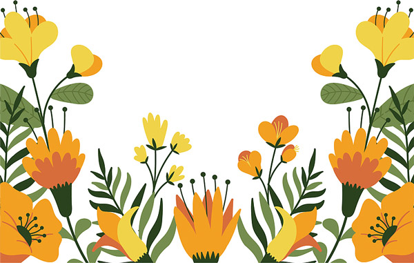 �����Sɫ����