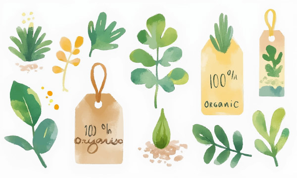 �Gɫ�ЙC(j��)ֲ���(bi��o)��