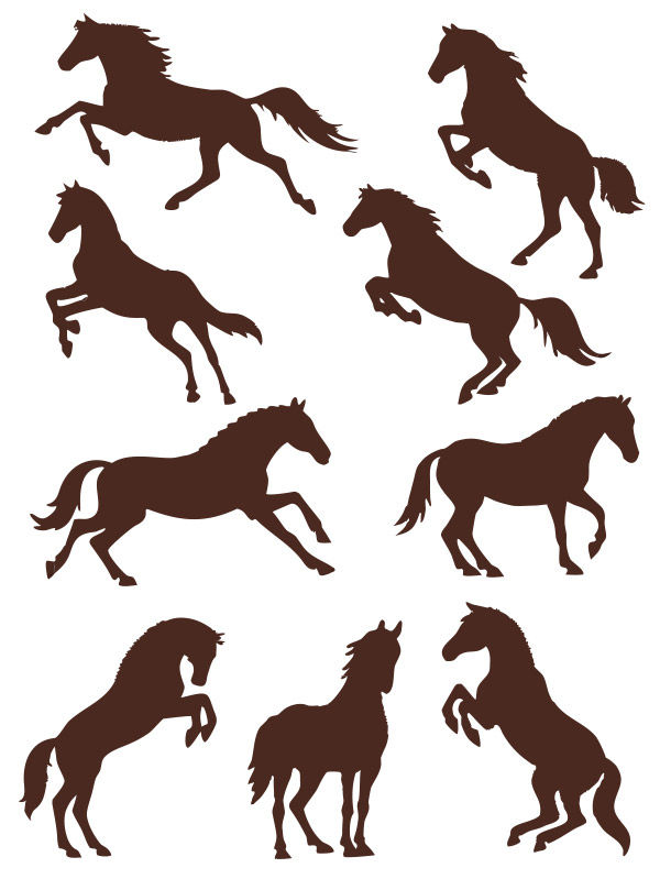 �R�걼���E�R��Ӱ