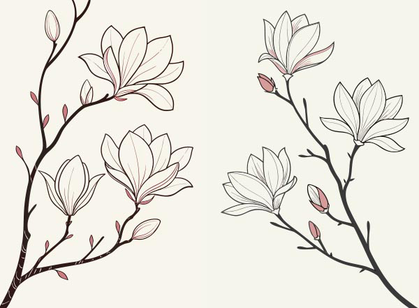 ���l���m���ܲ宋