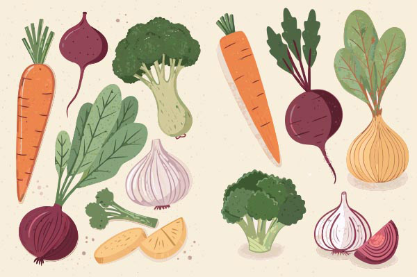 �����л��߲�ʳ��