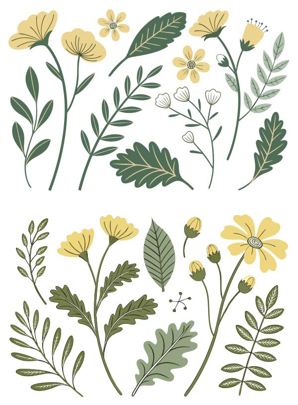 �����Sɫ����ֲ��