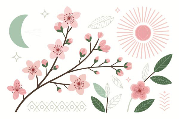 �������֙ѻ�ֲ��