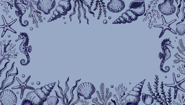 ���L��������߅��