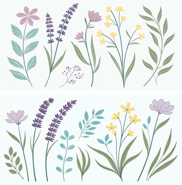 ��������ֲ��