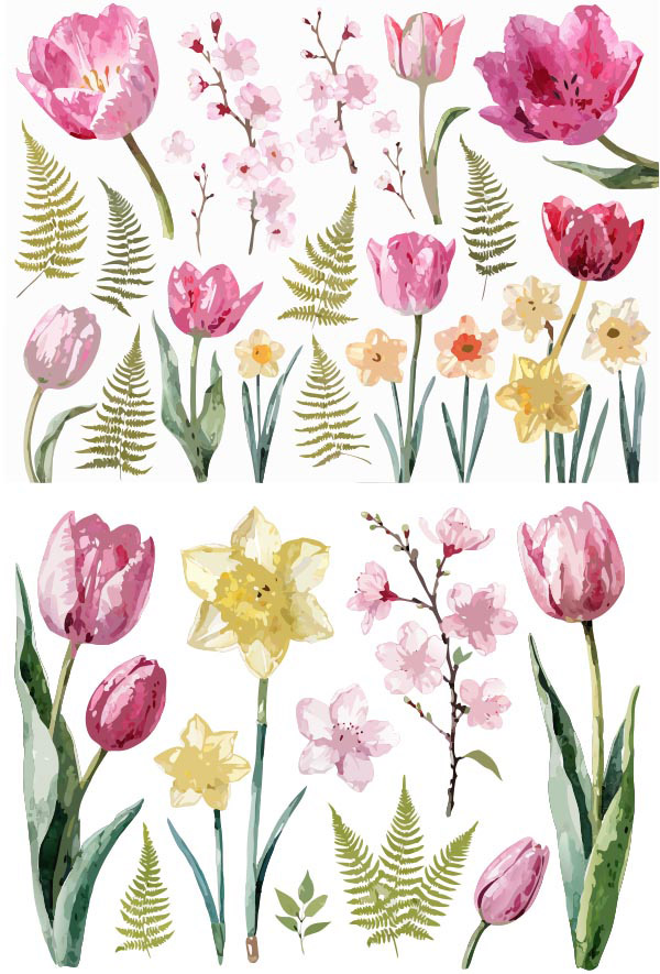 ˮ�ʴ��ջ���֦Ҷ