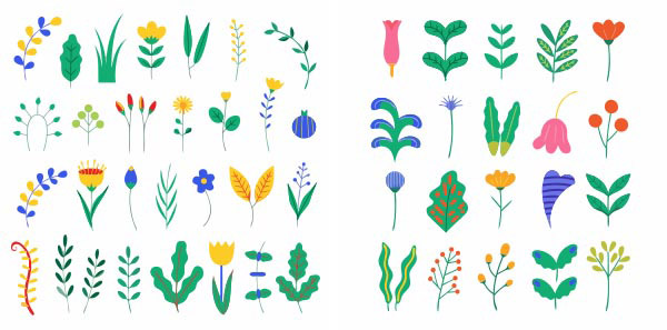 ��ɫ����ֲ��Ԫ��