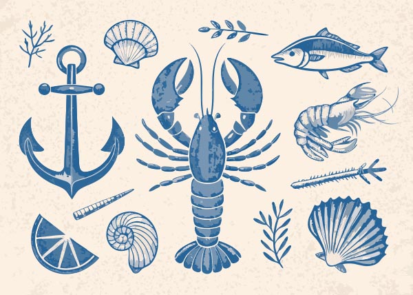 ���к�����Ԫ�ز廭