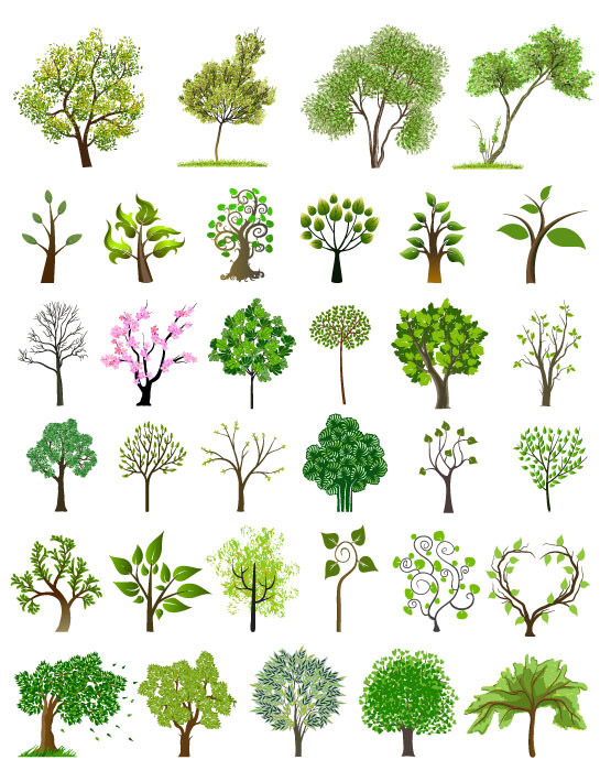 园林绿化树木