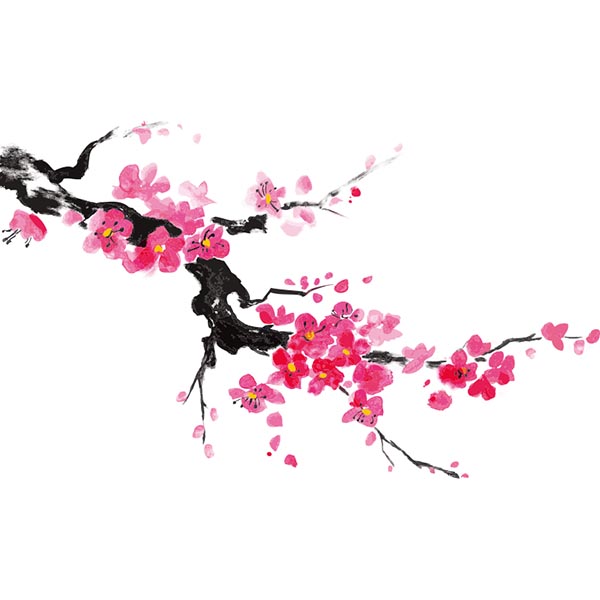 ˮī�һ�