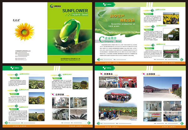 绿色种子企业画册