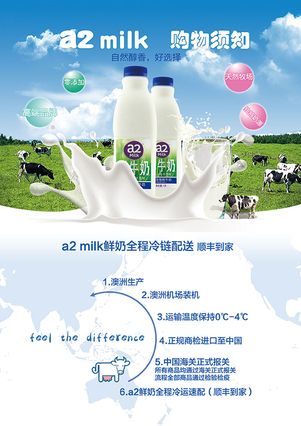 进口牛奶宣传单