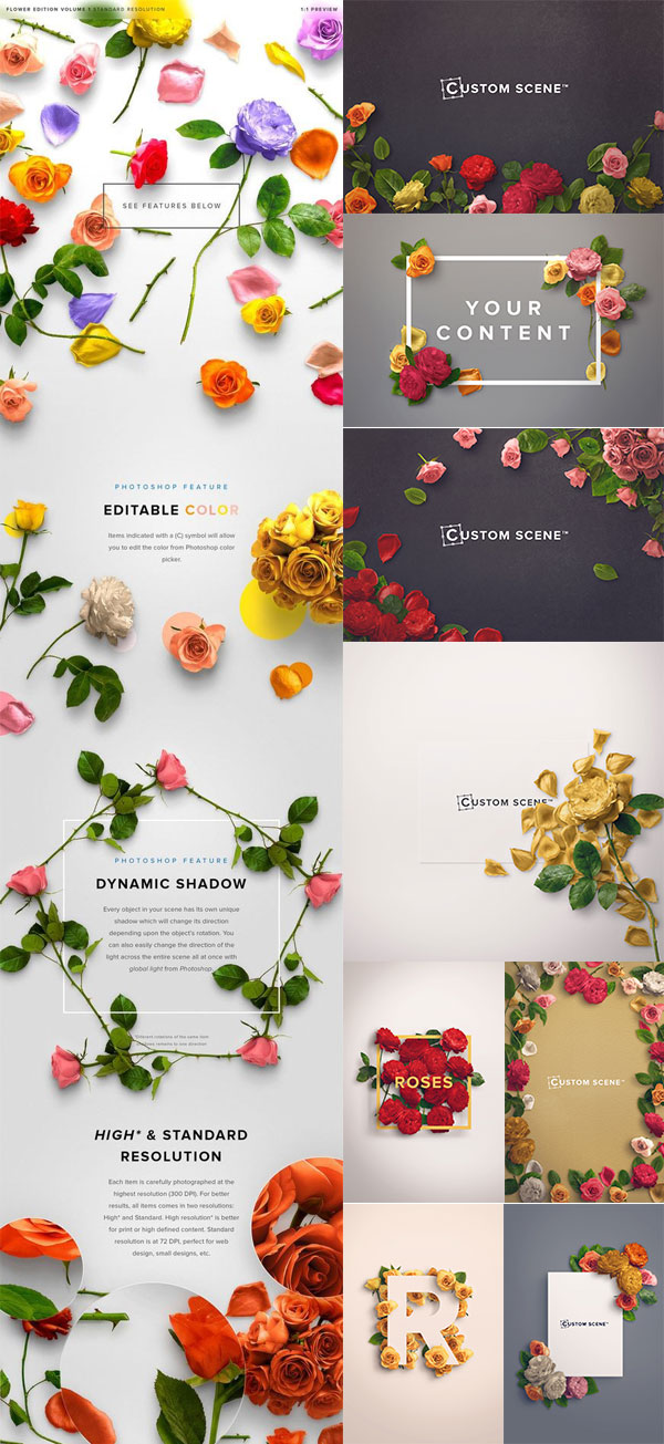 �ٿ�仨��