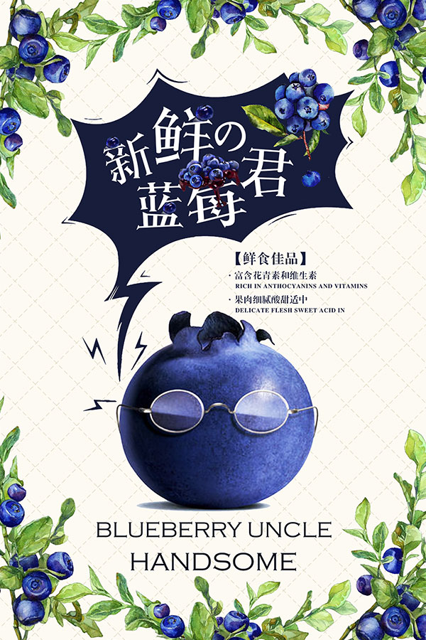 蓝莓促销海报