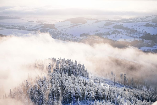 关键词: 冬天森林景色,多雾,风景,有雾,森林,丘陵,山,自然,树木,冬季