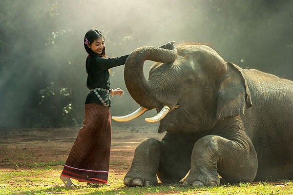 女孩与大象