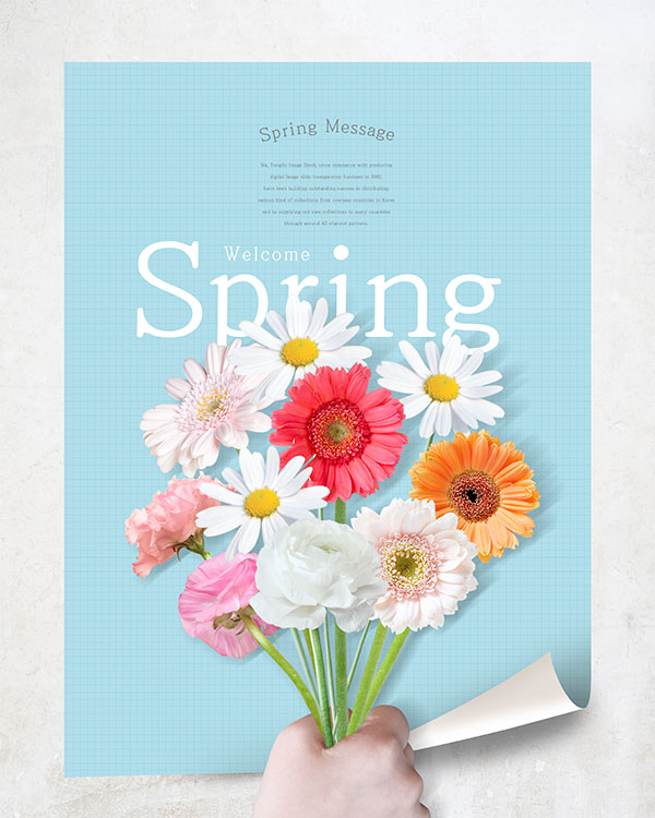 春季花束海报