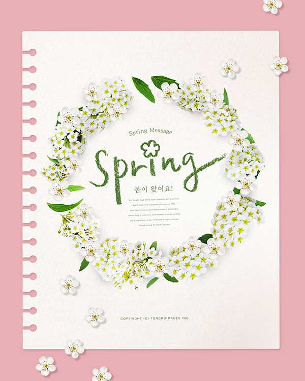 韩式春季花朵海报