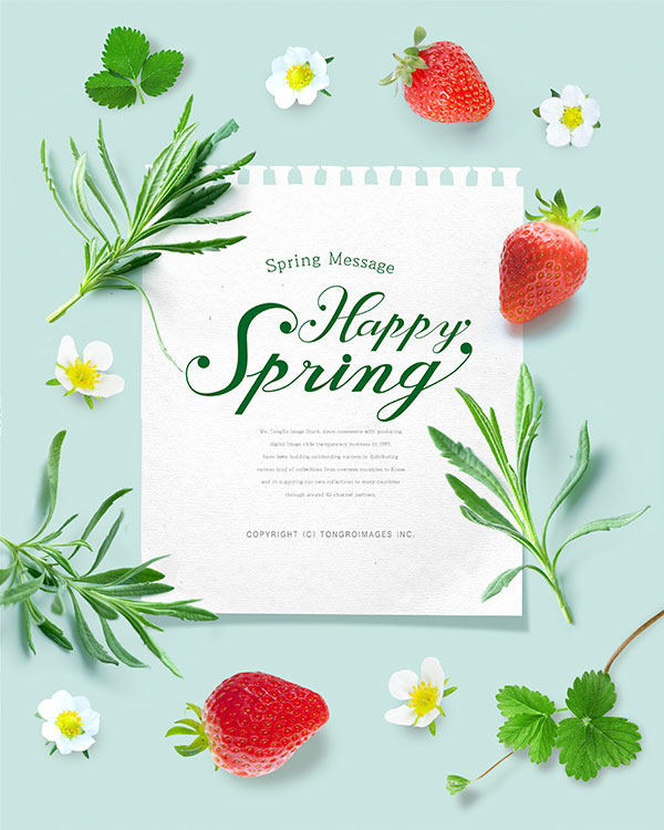春季草莓海报