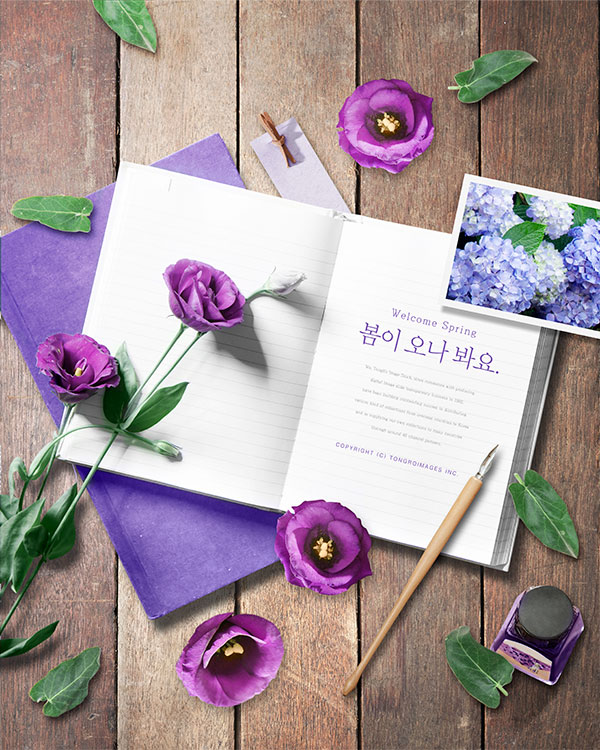 紫色花朵春天海报