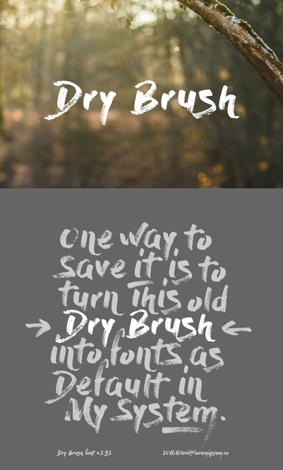 DryBrush
