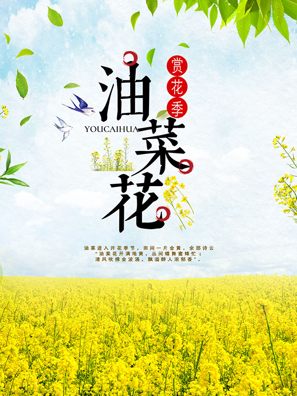 油菜花节旅游海报