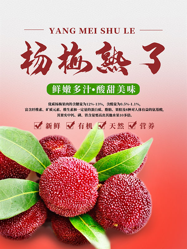 新鲜杨梅水果海报