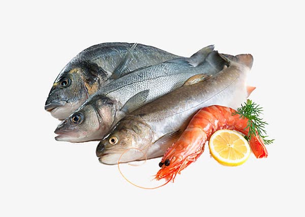 鱼和虾食材