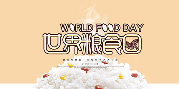 世界粮食日宣传栏