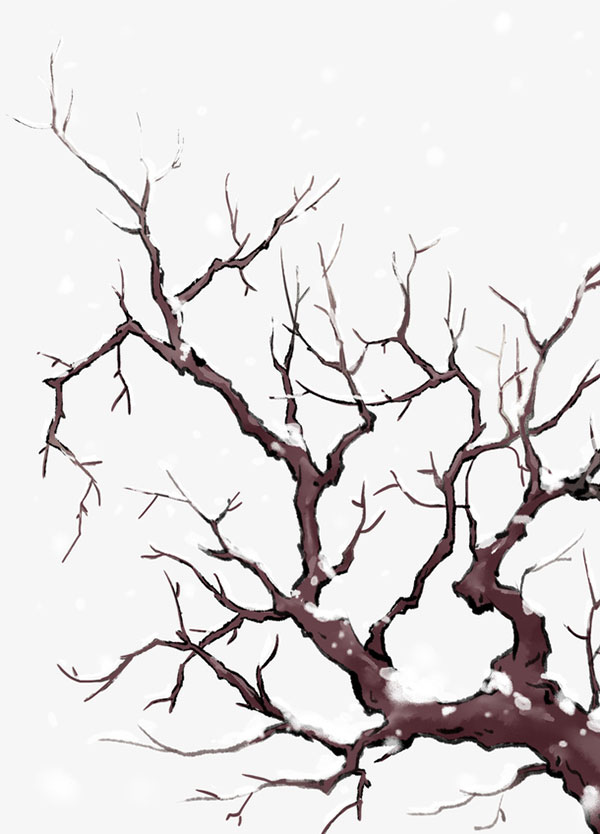 手绘雪天的树枝
