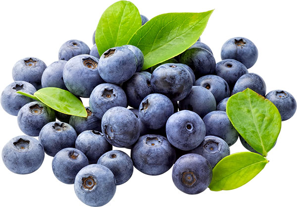 蓝莓免抠图