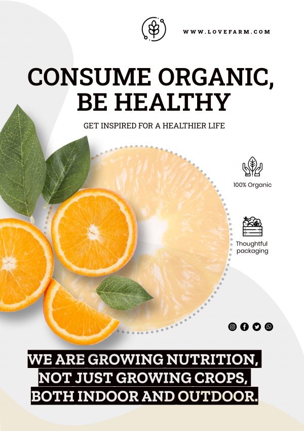 ������Ⱥ���