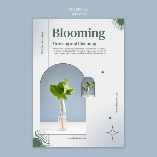 ���ԳƸ����