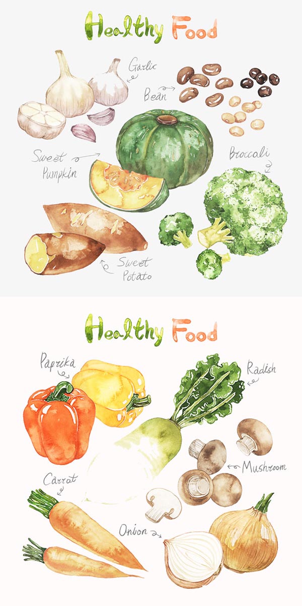 水彩蔬菜食物