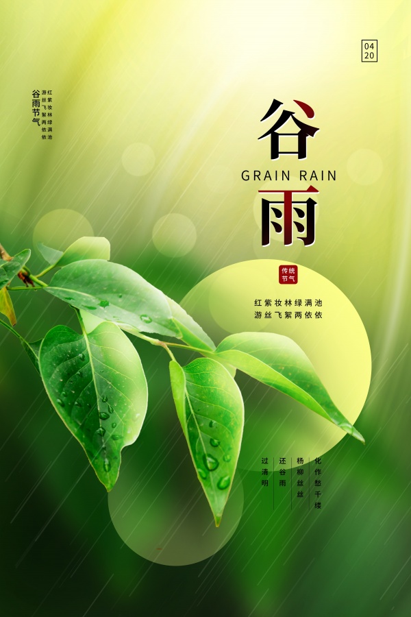 谷雨节气广告海报