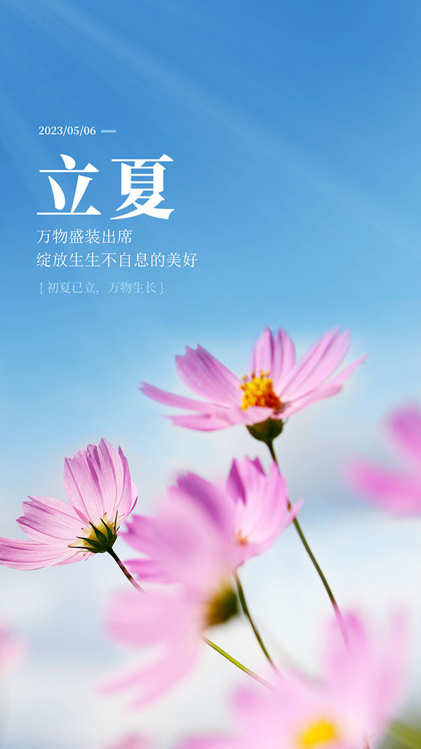 小清新花朵立夏手机海报