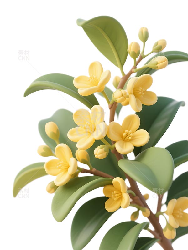 3D�𻨲宋(hu��)2