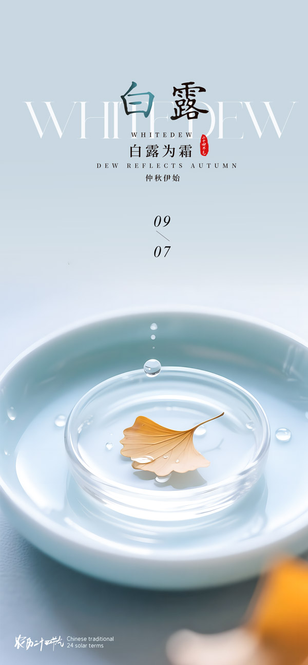 ʽ¶(bo)
