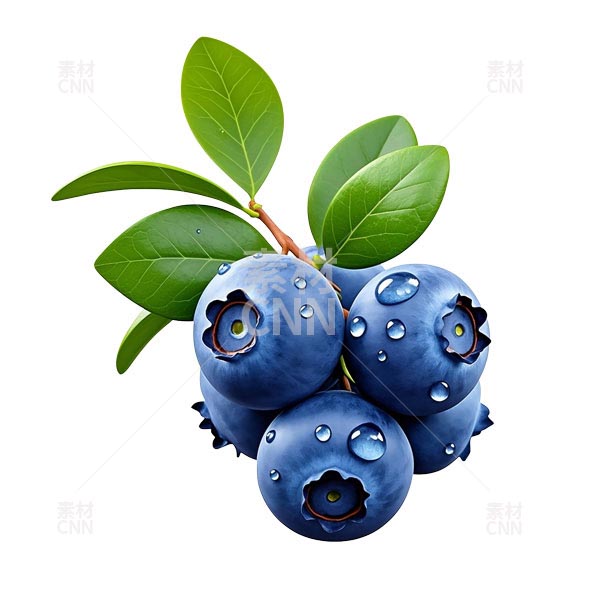 һС���{(l��n)ݮ2