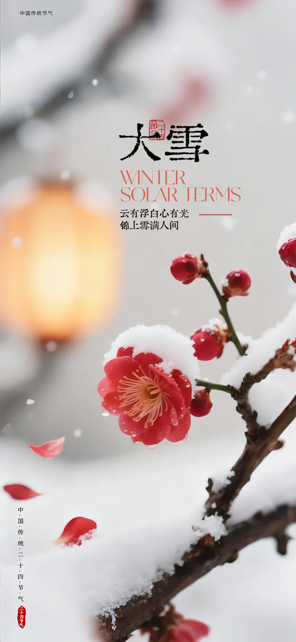 ��÷��ѩ�����ֻ�����