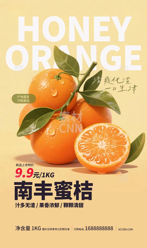 ���S�۽۴��N����(b��o)